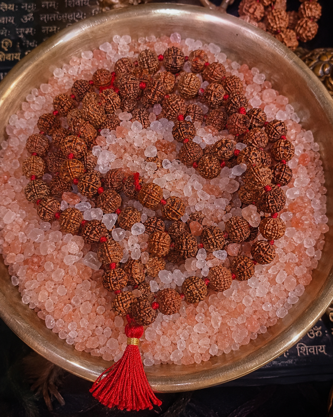 सिद्ध रुद्राक्ष माला